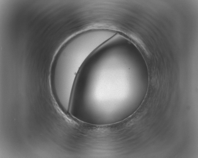 X0000073830888200608100958