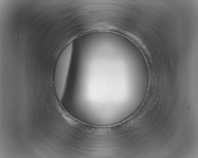 X0000073830889200608100958