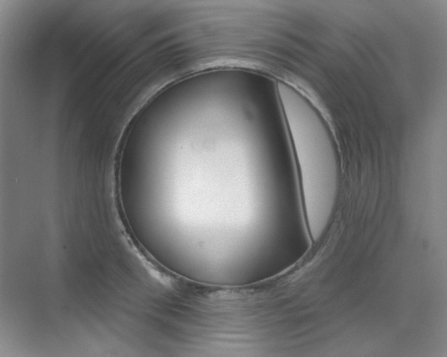 X0000073830898200608100958