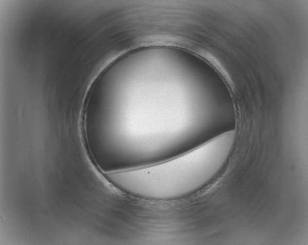 X0000073830901200608100958