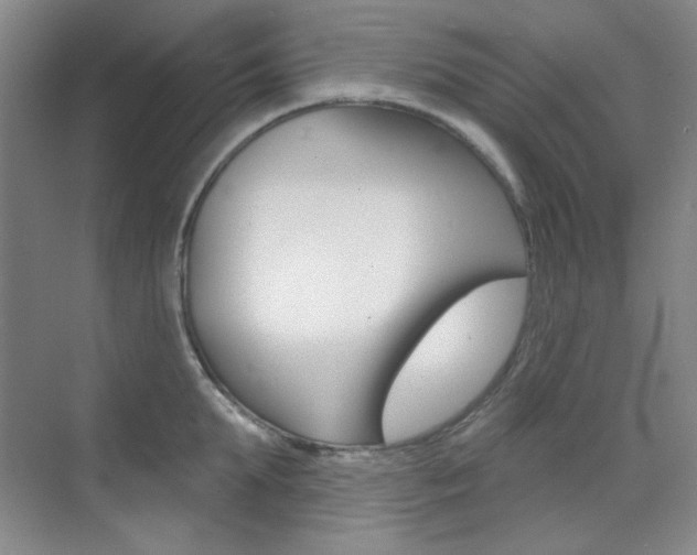 X0000073830903200608100958