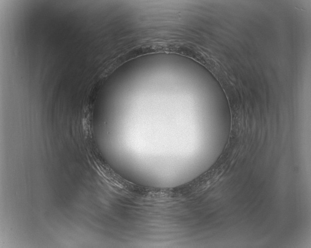 X0000073830914200608100957