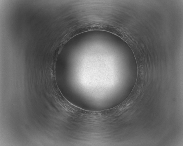 X0000073830916200608100957