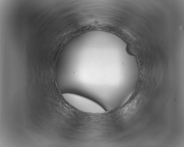 X0000073830917200608100957