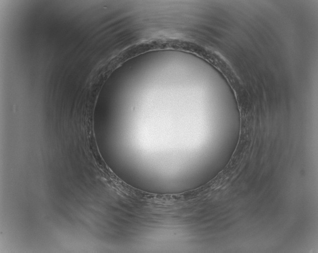 X0000073830919200608100957