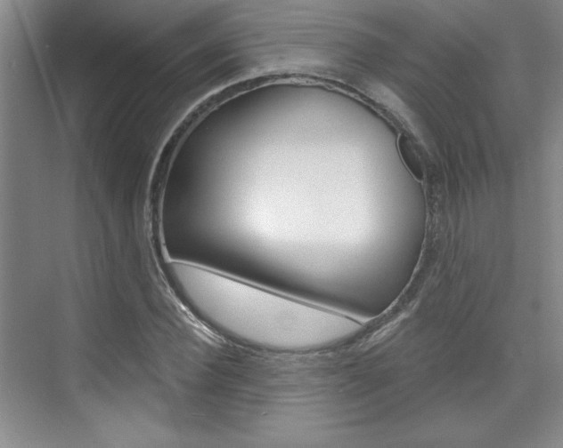 X0000073830924200608100957