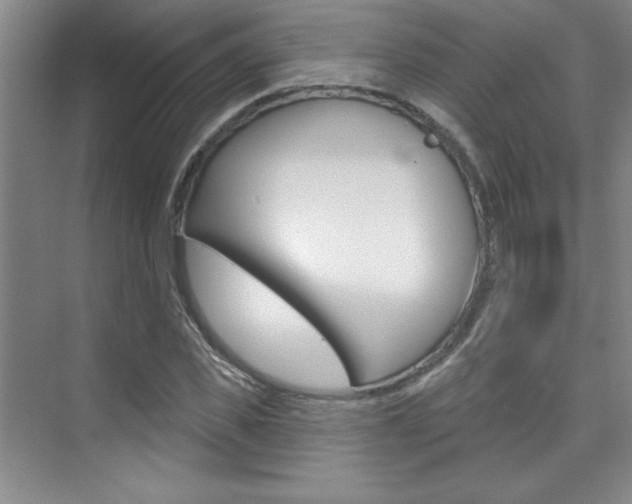 X0000073830925200608100957