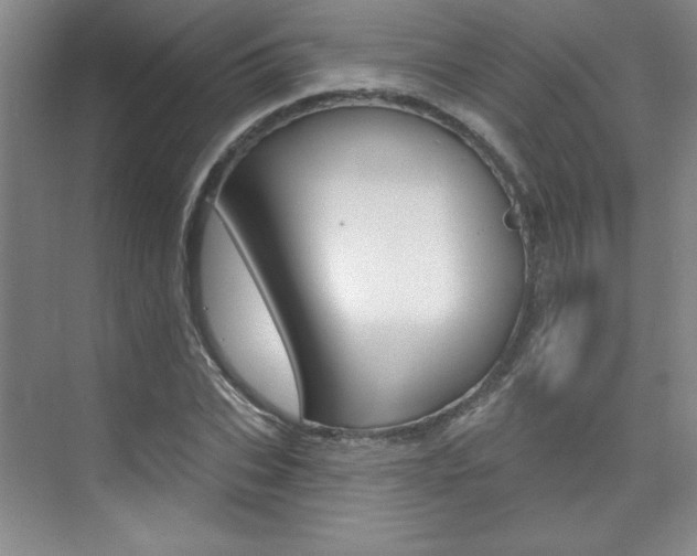 X0000073830927200608100957