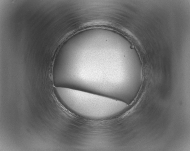X0000073830929200608100957
