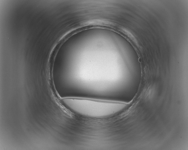 X0000073830931200608100957