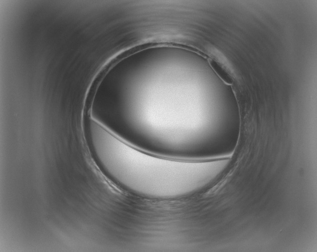 X0000073830932200608100957