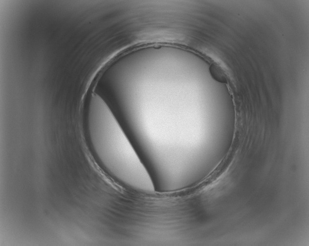 X0000073830933200608100957
