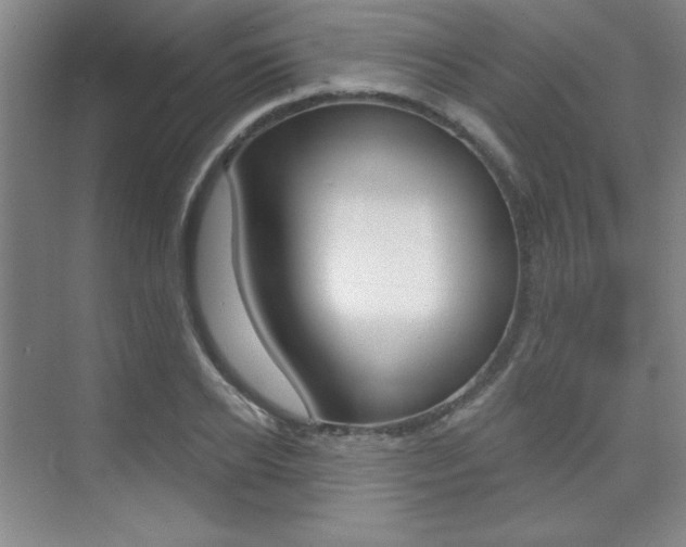 X0000073830934200608100957