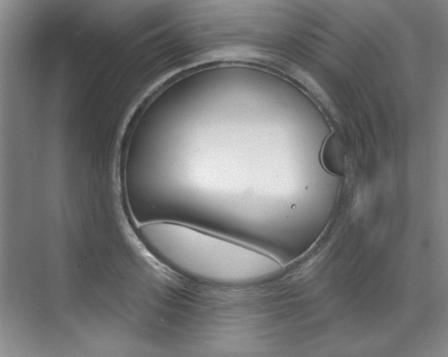 X0000073830939200608100958