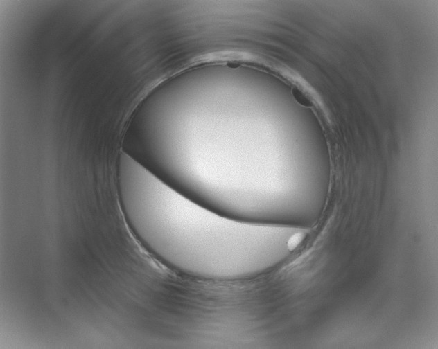 X0000073830945200608100958