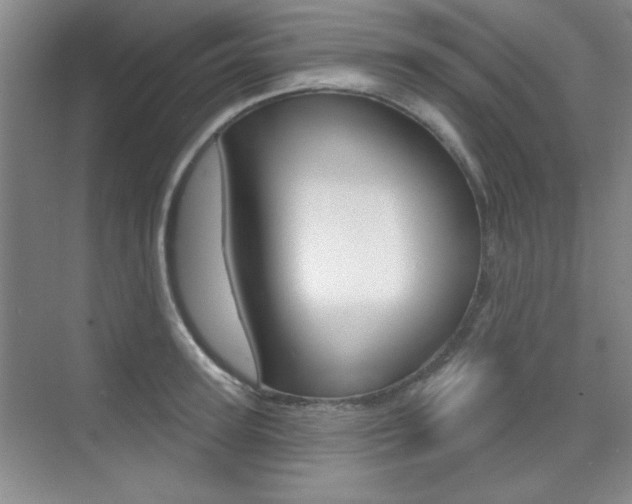 X0000073830947200608100958