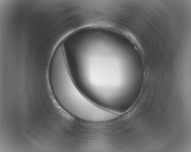 X0000073830952200608100958