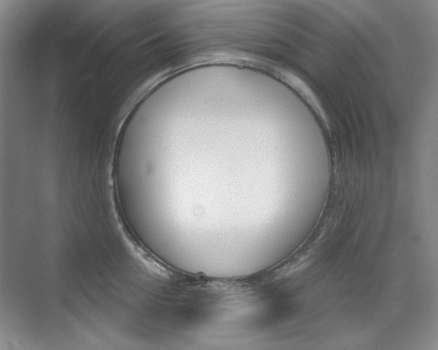 X0000073830954200608100958