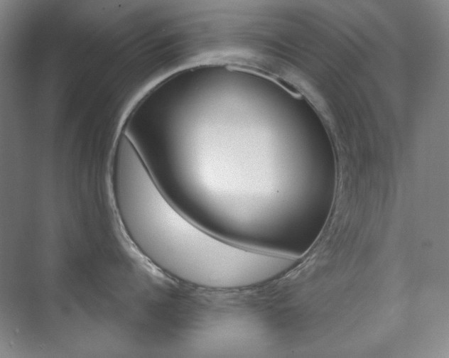 X0000073830960200608100958
