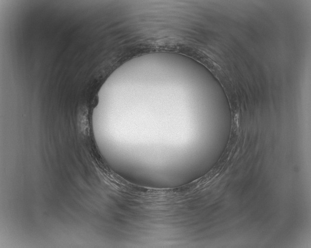 X0000073830963200608100957