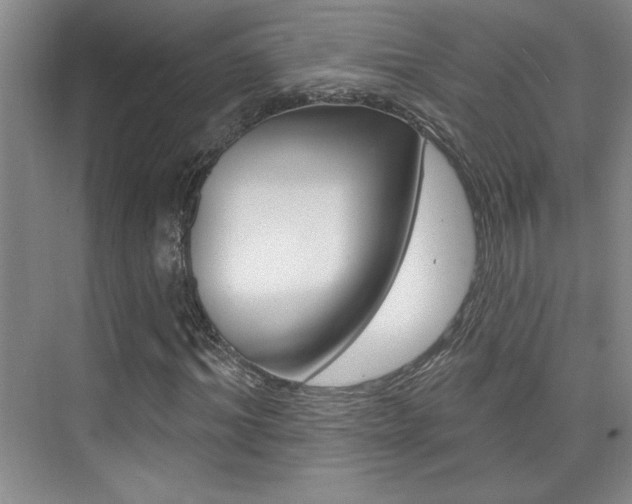 X0000073830964200608100957