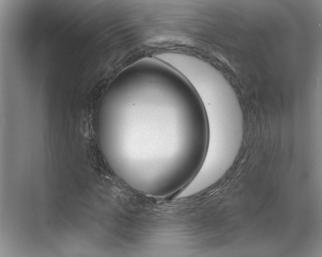 X0000073830965200608100957