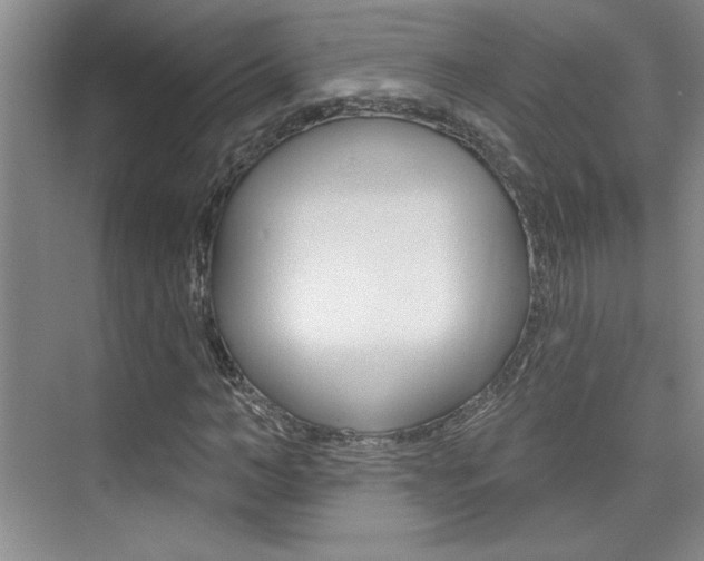 X0000073830966200608100957
