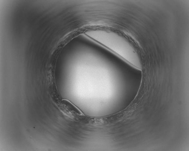 X0000073830968200608100957