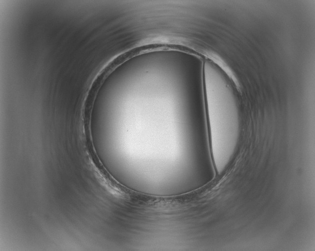 X0000073830972200608100957