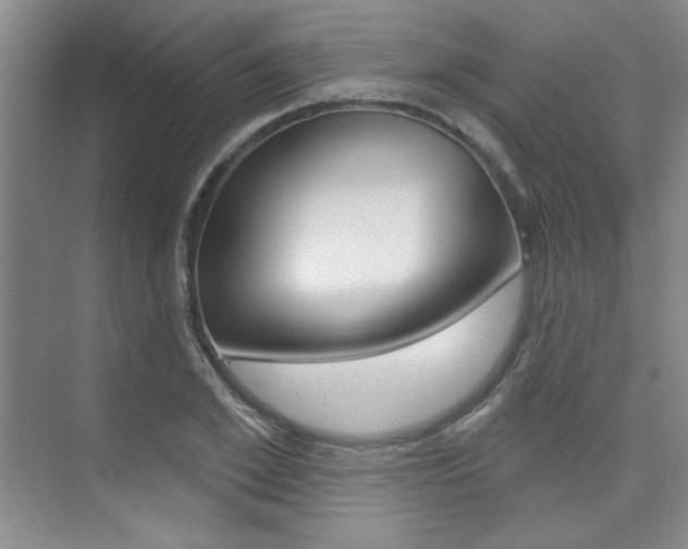 X0000073830981200608100957