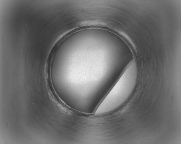 X0000073830983200608100957