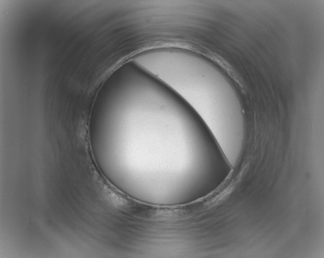 X0000073830985200608100957