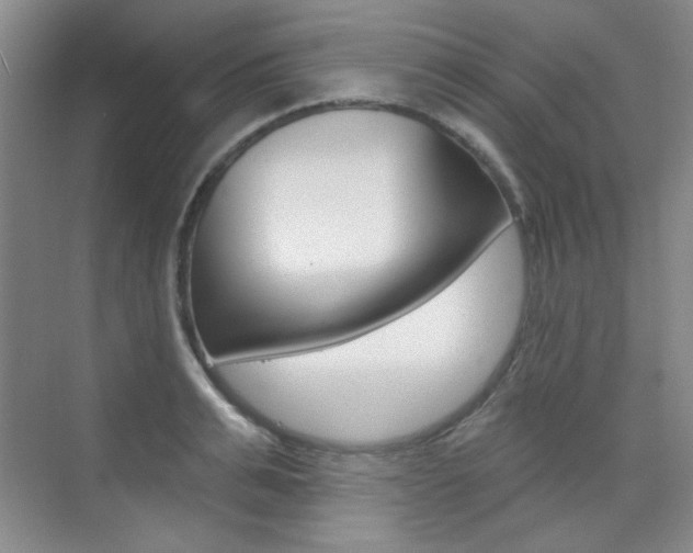X0000073830991200608100957