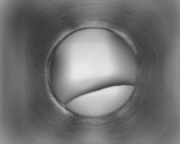 X0000073830998200608100956