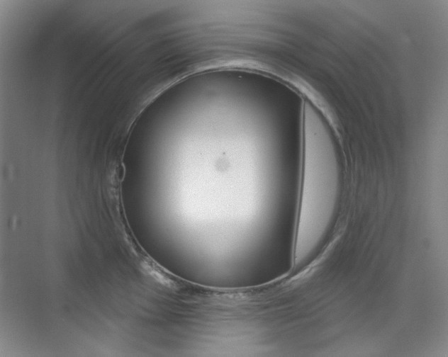 X0000073831001200608100956