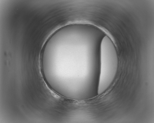 X0000073831006200608100956