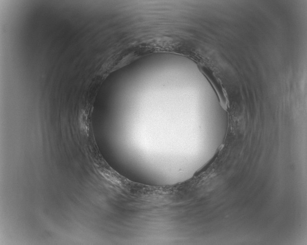 X0000073831010200608100956
