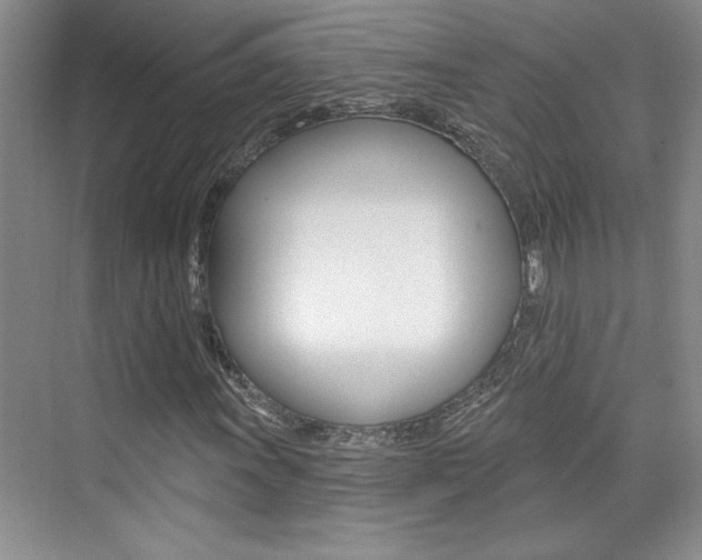 X0000073831011200608100956