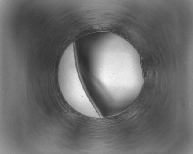 X0000073831012200608100956