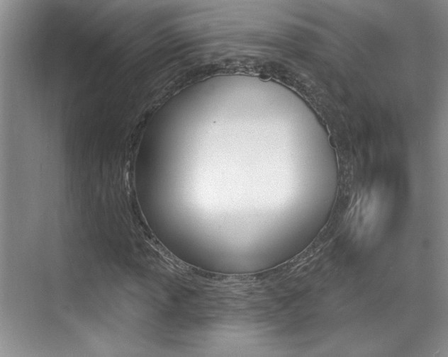 X0000073831013200608100956