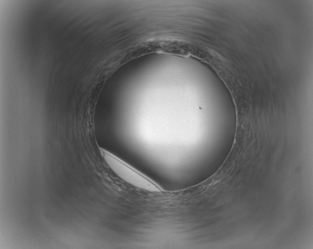 X0000073831014200608100956