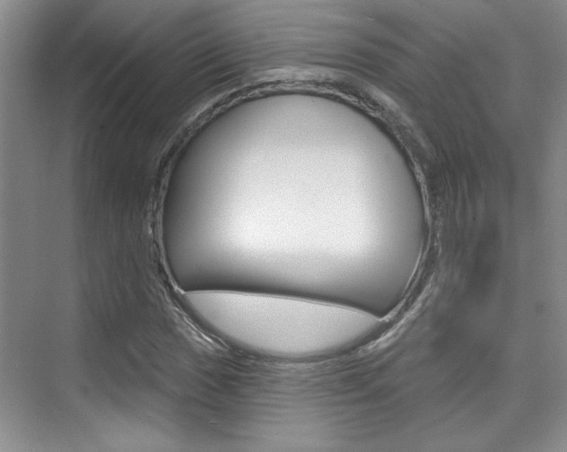X0000073831017200608100956