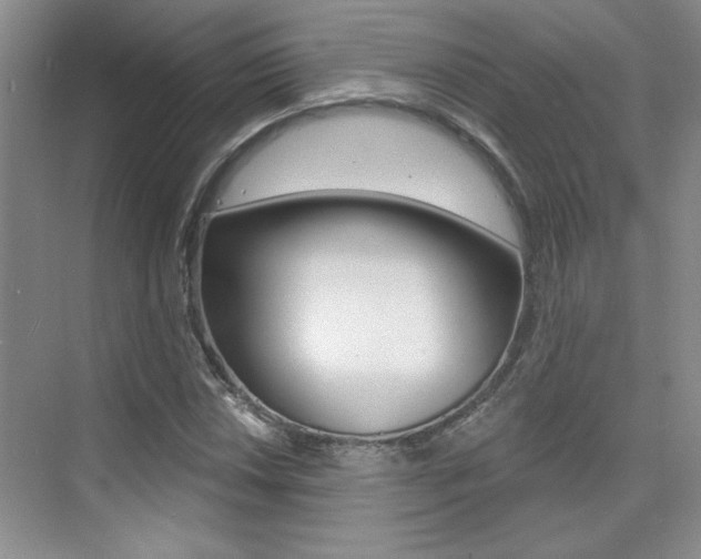 X0000073831018200608100956