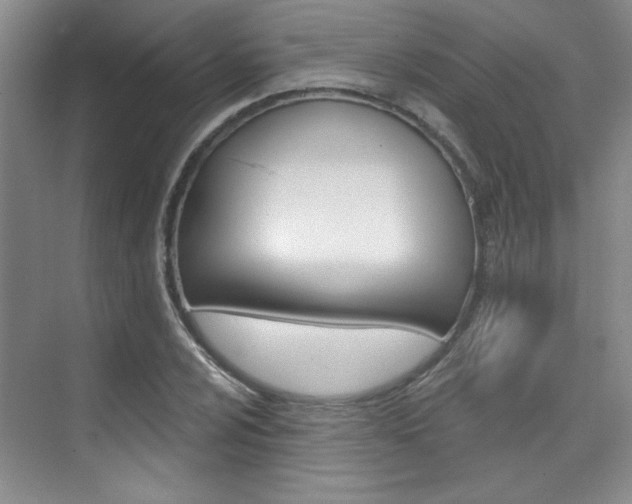 X0000073831024200608100956