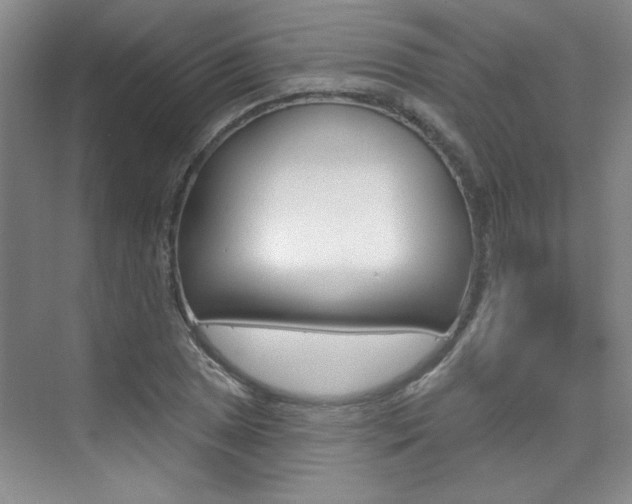 X0000073831025200608100956