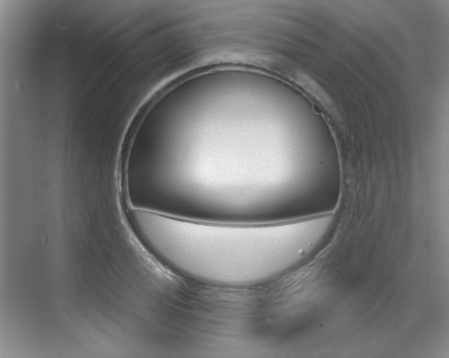 X0000073831028200608100956