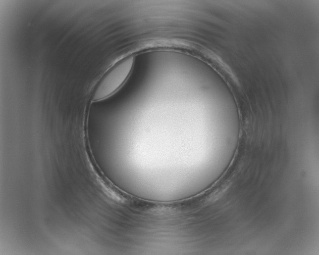 X0000073831033200608100956