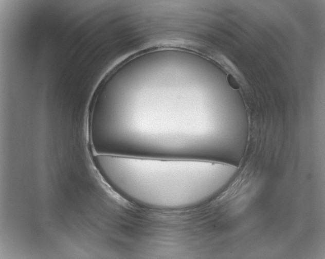 X0000073831036200608100956