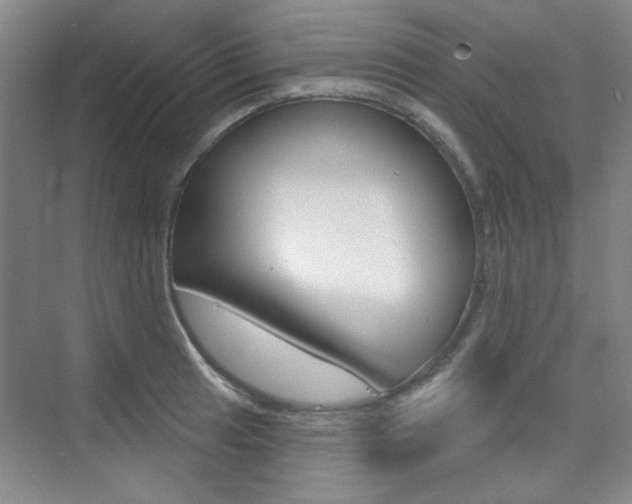 X0000073831041200608100956