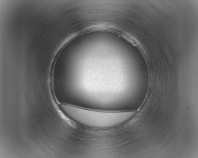 X0000073831042200608100956